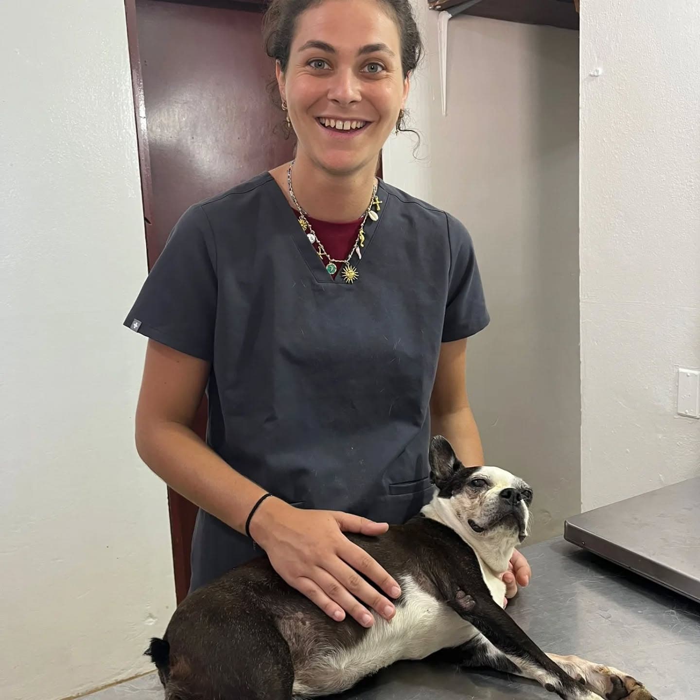 A vet at Coco Dog with a patient