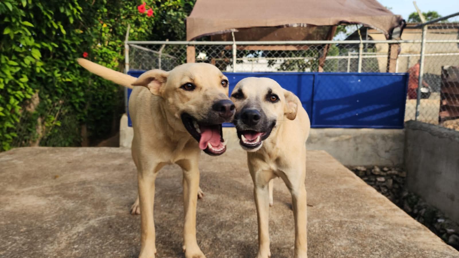 A photograph of Coco et Niño